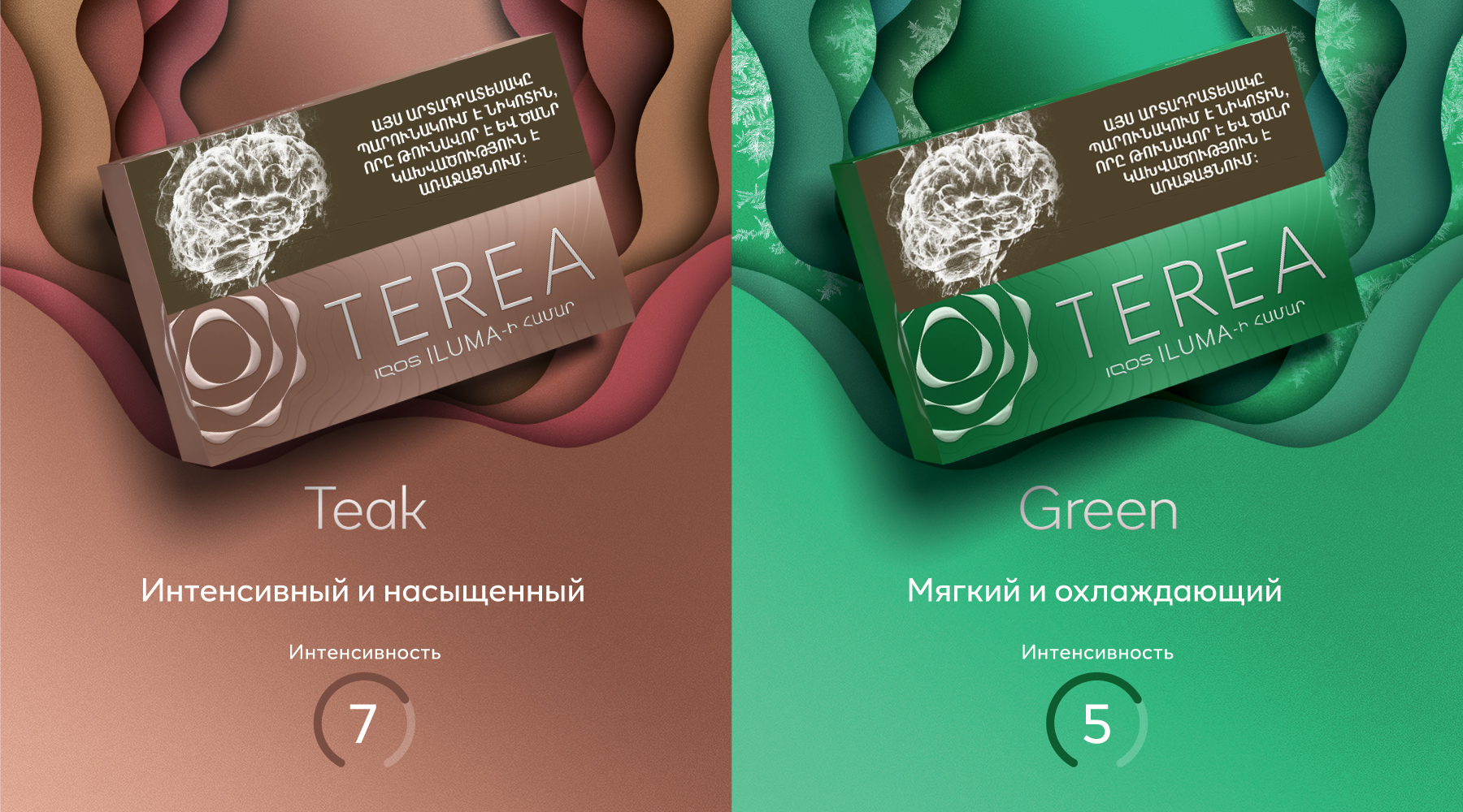 Terea стики Москва — полный обзор вкусов